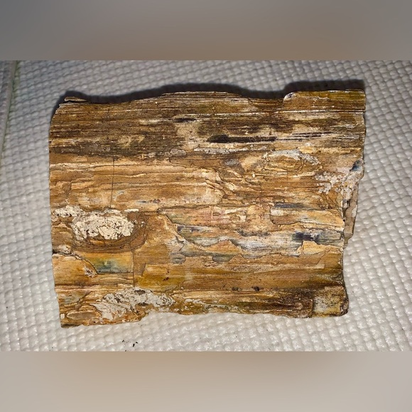 Petrified Wood Chunk almost 2 pounds! - Picture 2 of 8